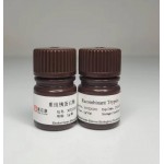 Recombinant Trypsin 9002-07-7 pharmacopoeia grade factory price