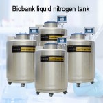Maldives liquid phase vapor phase liquid nitrogen tank KGSQ Cryogenic container