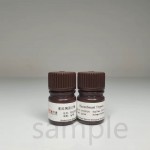 Recombinant Trypsin 9002-07-7 cell culture grade best price