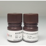 Recombinant Carboxypeptidase B 9025-24-5 biochemical grade antibody test