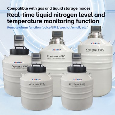 belarus liquid phase vapor phase liquid nitrogen tank KGSQ