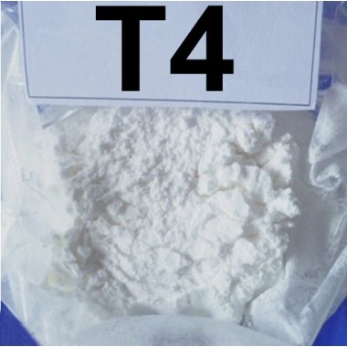 Sodium T4/loose weight/Email:shirley@ycphar.com