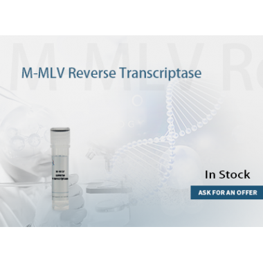 M-MLV RTase (RNase H-) 200U/uL