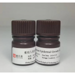 Recombinant Human Epidermal Growth Factor  EGF 62253-63-8 cell culture