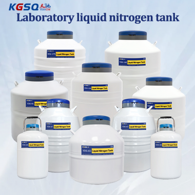 Sao Tome and Principe-laboratory dewar KGSQ-liquid nitrogen storage containers