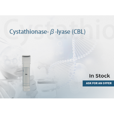 Cystathionine β-lyase