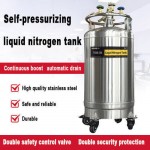 Belize Self-pressurizing liquid nitrogen container KGSQ liquid nitrogen tank