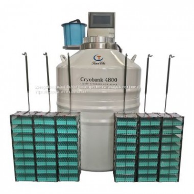 vapor phase liquid nitrogen freezer_cryogenic storage vessels