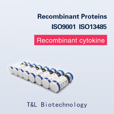Recombinant Human IL-6 Protein
