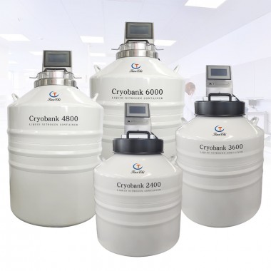 Maldives cryogenic liquid nitrogen container KGSQ